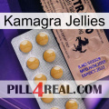 Kamagra Jellies 41